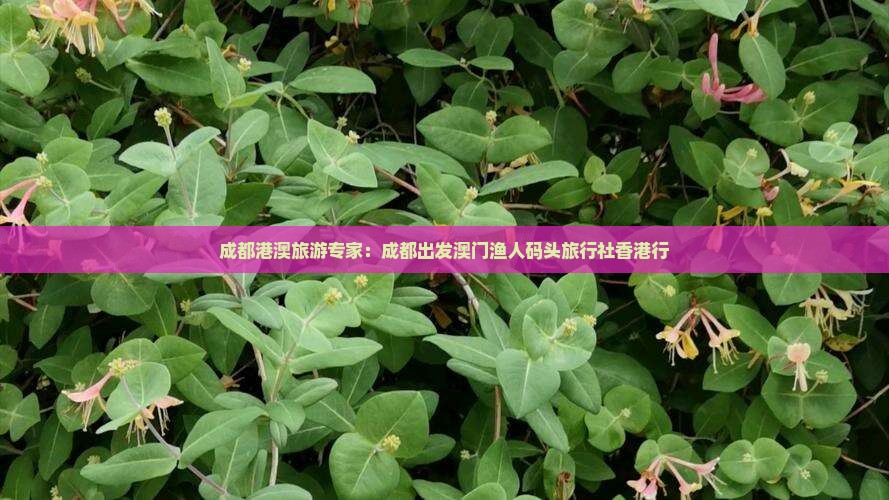 成都港澳旅游专家：成都出发澳门渔人码头旅行社香港行