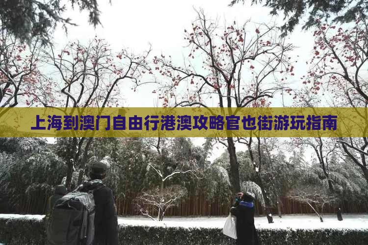 上海到澳门自由行港澳攻略官也街游玩指南