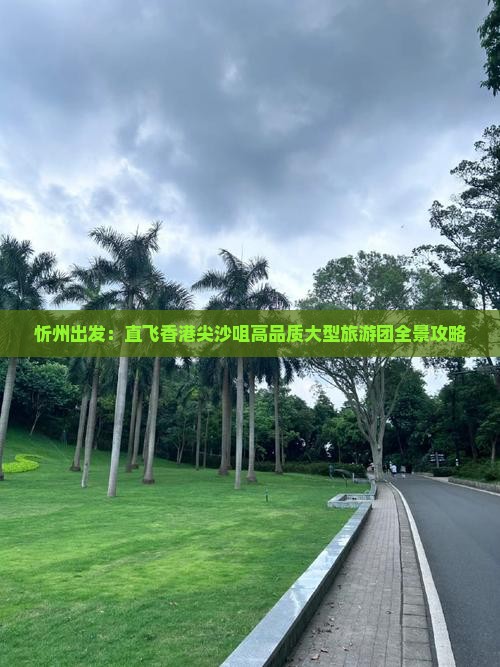 忻州出发：直飞香港尖沙咀高品质大型旅游团全景攻略