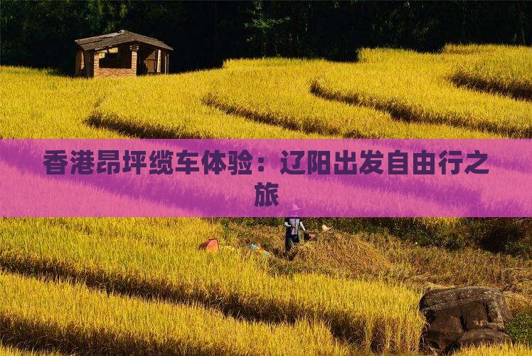 香港昂坪缆车体验：辽阳出发自由行之旅