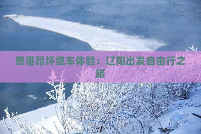 香港昂坪缆车体验：辽阳出发自由行之旅