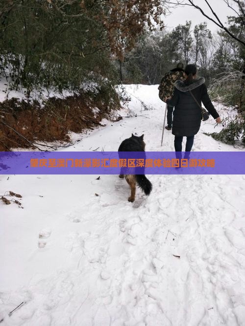 肇庆至澳门新濠影汇度假区深度体验四日游攻略