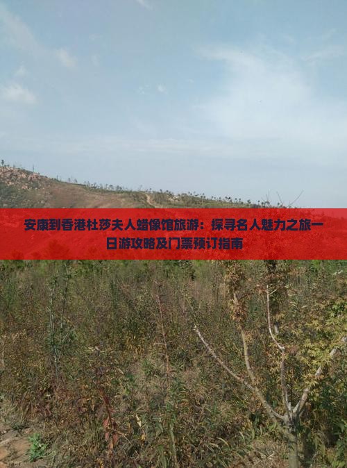 安康到香港杜莎夫人蜡像馆旅游：探寻名人魅力之旅一日游攻略及门票预订指南