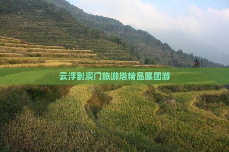 云浮到澳门旅游塔精品跟团游