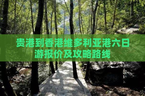 贵港到香港维多利亚港六日游报价及攻略路线