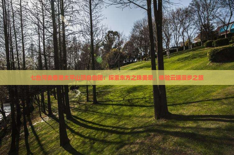 七台河去香港太平山顶自由团：探索东方之珠美景，体验云端漫步之旅