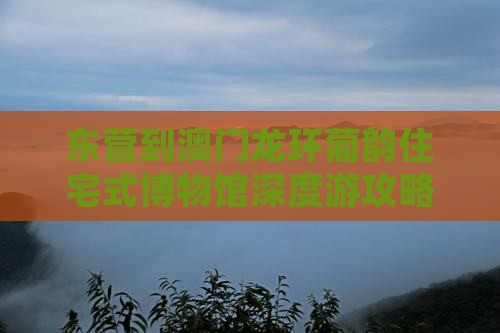 东营到澳门龙环葡韵住宅式博物馆深度游攻略