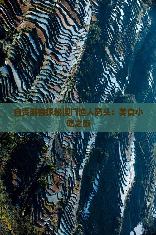 自贡游客探秘澳门渔人码头：美食小吃之旅