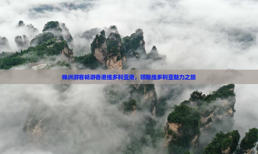 株洲游客畅游香港维多利亚港，领略维多利亚魅力之旅