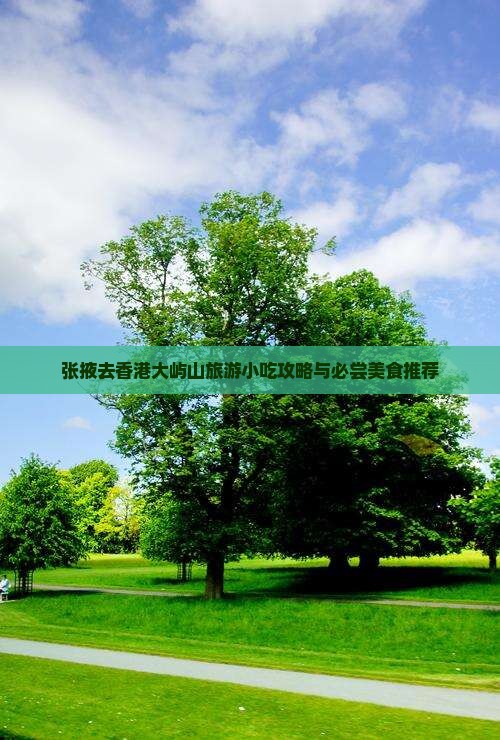 张掖去香港大屿山旅游小吃攻略与必尝美食推荐