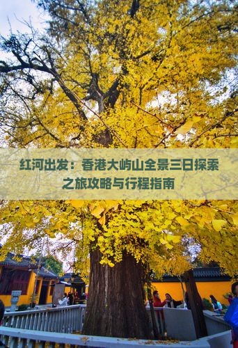 红河出发：香港大屿山全景三日探索之旅攻略与行程指南
