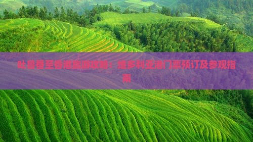 吐鲁番至香港旅游攻略：维多利亚港门票预订及参观指南