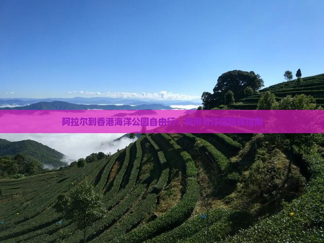 阿拉尔到香港海洋公园自由行：费用与详细路线指南