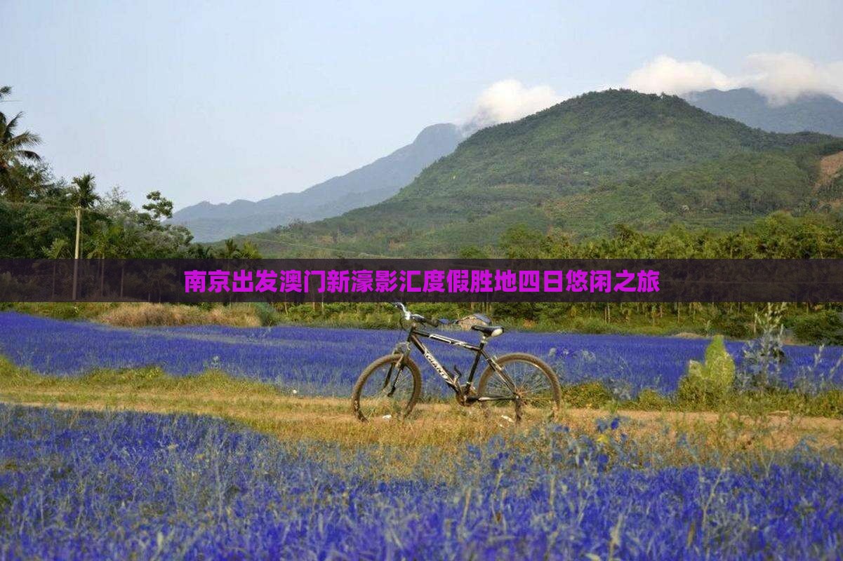 南京出发澳门新濠影汇度假胜地四日悠闲之旅