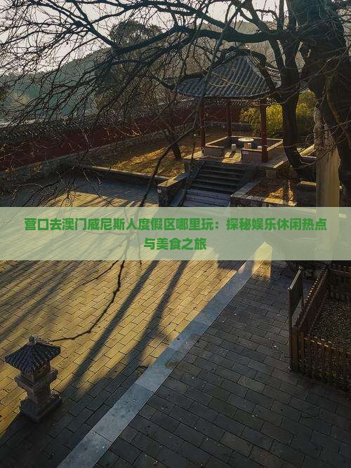 营口去澳门威尼斯人度假区哪里玩：探秘娱乐休闲热点与美食之旅