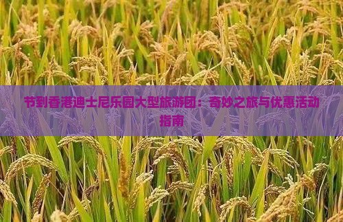 节到香港迪士尼乐园大型旅游团：奇妙之旅与优惠活动指南
