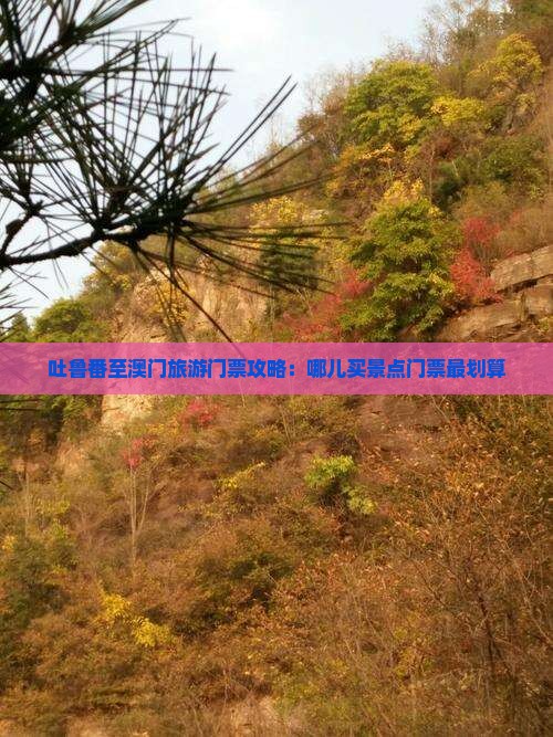 吐鲁番至澳门旅游门票攻略：哪儿买景点门票最划算