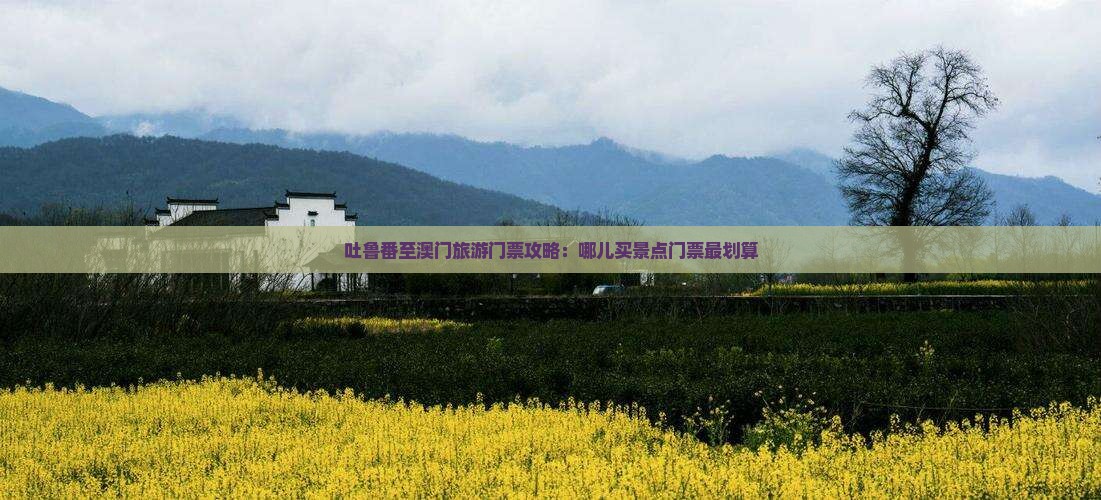 吐鲁番至澳门旅游门票攻略：哪儿买景点门票最划算
