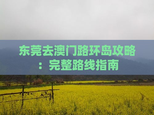 东莞去澳门路环岛攻略：完整路线指南