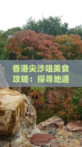 香港尖沙咀美食攻略：探寻地道小吃之旅