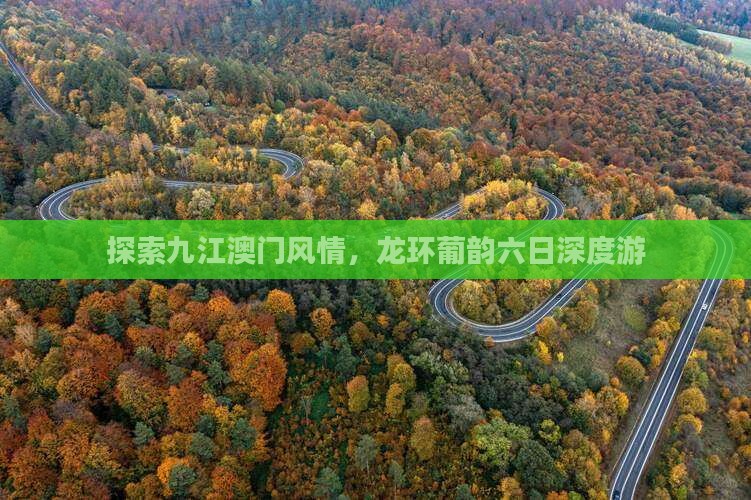 探索九江澳门风情，龙环葡韵六日深度游