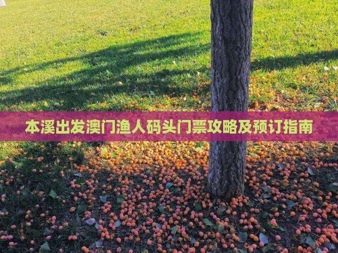 本溪出发澳门渔人码头门票攻略及预订指南