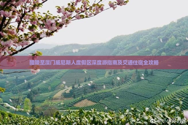 醴陵至澳门威尼斯人度假区深度游指南及交通住宿全攻略