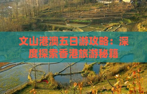 文山港澳五日游攻略：深度探索香港旅游秘籍