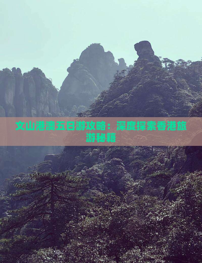 文山港澳五日游攻略：深度探索香港旅游秘籍