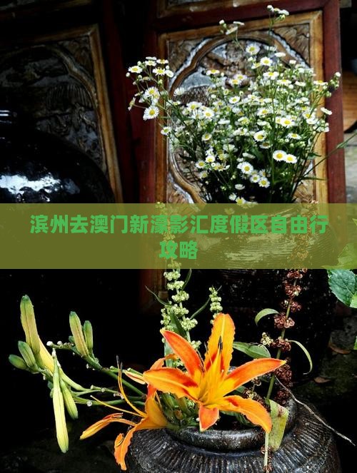 滨州去澳门新濠影汇度假区自由行攻略