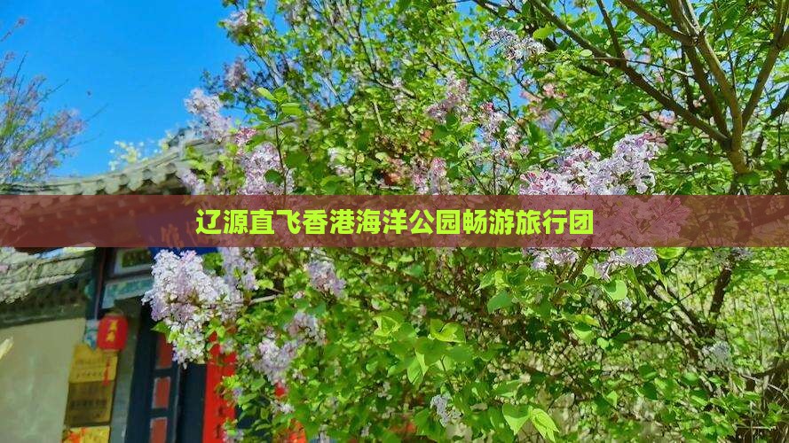 辽源直飞香港海洋公园畅游旅行团