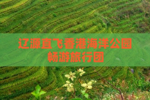辽源直飞香港海洋公园畅游旅行团