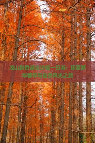 凉山到香港尖沙咀一日游：探索繁华都市与自然风光之旅