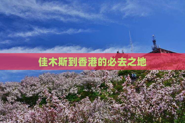 佳木斯到香港的必去之地