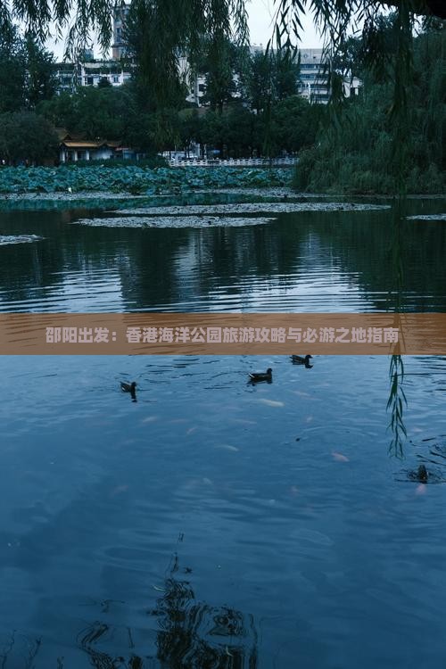 邵阳出发：香港海洋公园旅游攻略与必游之地指南