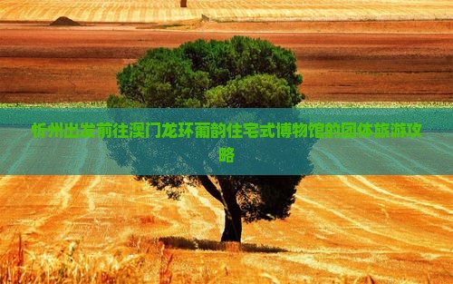忻州出发前往澳门龙环葡韵住宅式博物馆的团体旅游攻略