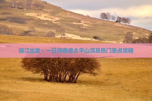 镇江出发：一日游香港太平山顶及热门景点攻略