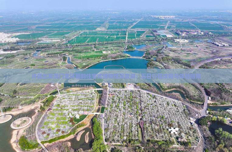 许昌出发澳门龙环葡韵住宅式博物馆深度游：五日行程攻略与体验指南