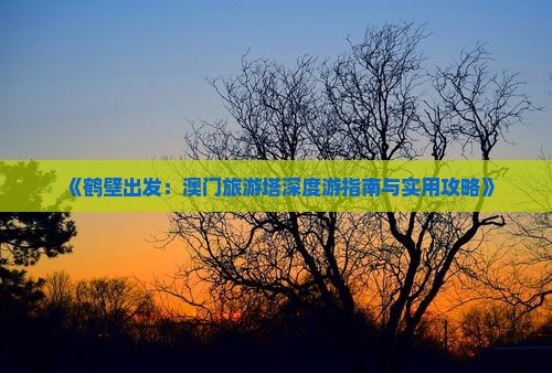 《鹤壁出发：澳门旅游塔深度游指南与实用攻略》