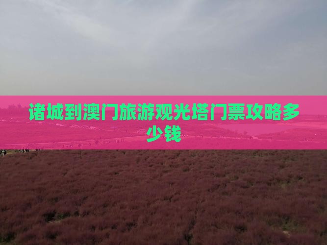诸城到澳门旅游观光塔门票攻略多少钱