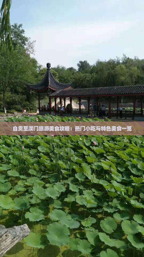 自贡至澳门旅游美食攻略：热门小吃与特色美食一览