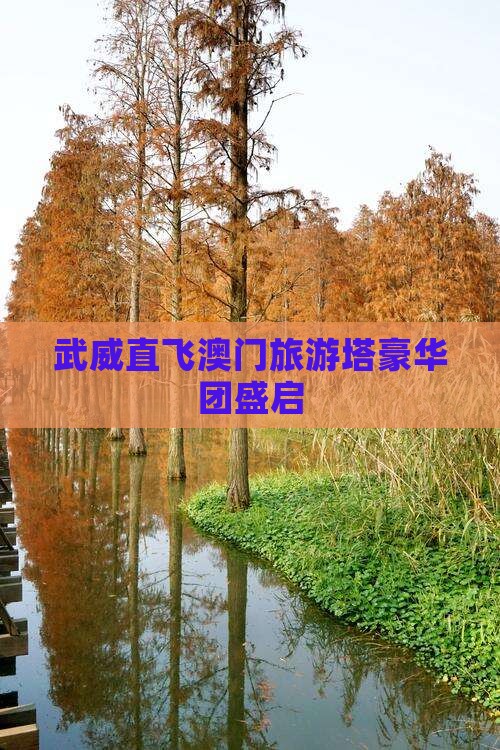 武威直飞澳门旅游塔豪华团盛启