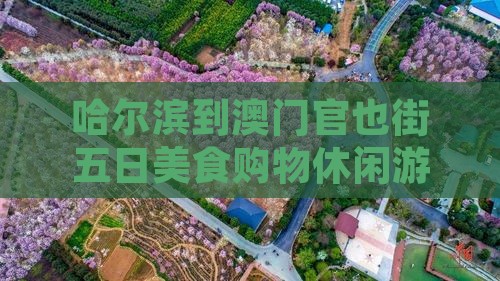 哈尔滨到澳门官也街五日美食购物休闲游