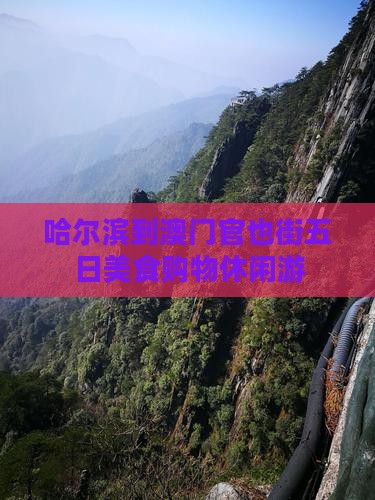哈尔滨到澳门官也街五日美食购物休闲游
