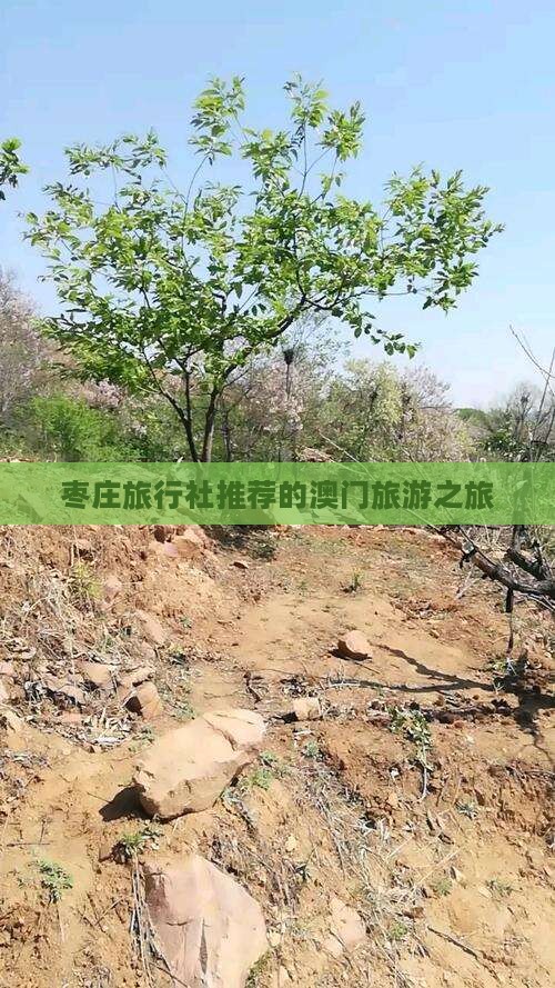 枣庄旅行社推荐的澳门旅游之旅