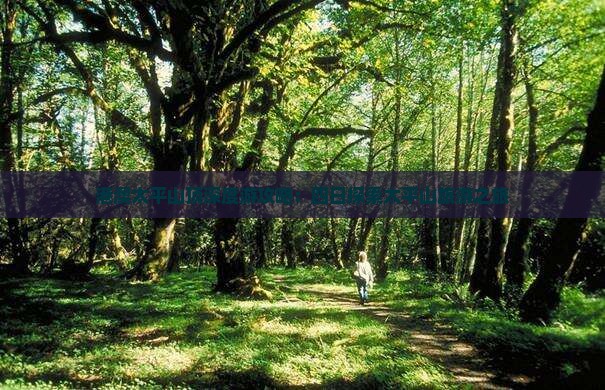 港澳太平山顶深度游攻略：四日探索太平山旅游之旅