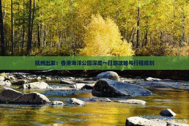 抚州出发：香港海洋公园深度一日游攻略与行程规划
