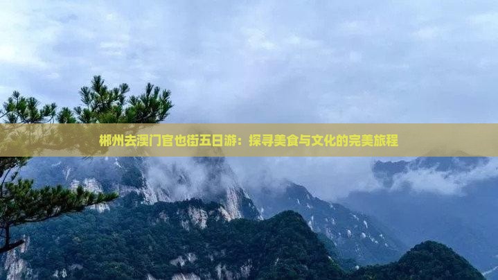 郴州去澳门官也街五日游：探寻美食与文化的完美旅程