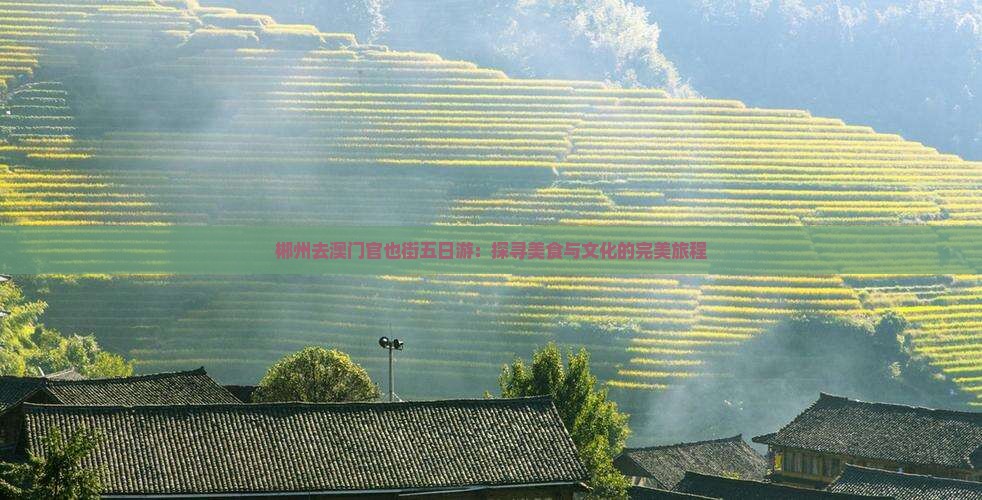 郴州去澳门官也街五日游：探寻美食与文化的完美旅程