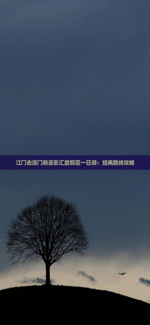 江门去澳门新濠影汇度假区一日游：经典路线攻略